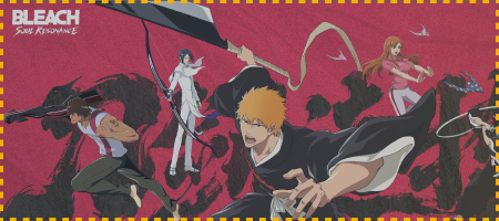 Bleach: Soul Resonance